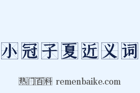 小冠子夏近义词是什么意思的图片